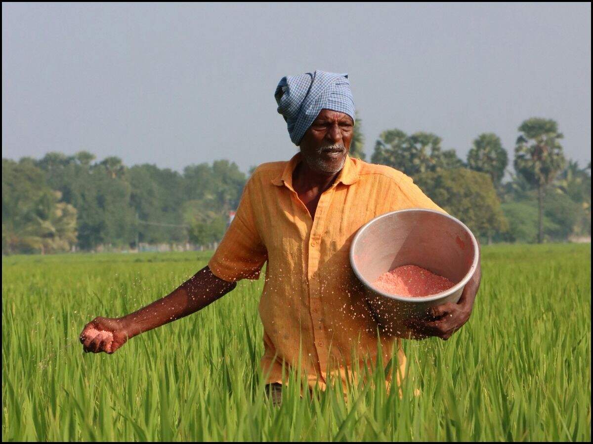 खाद