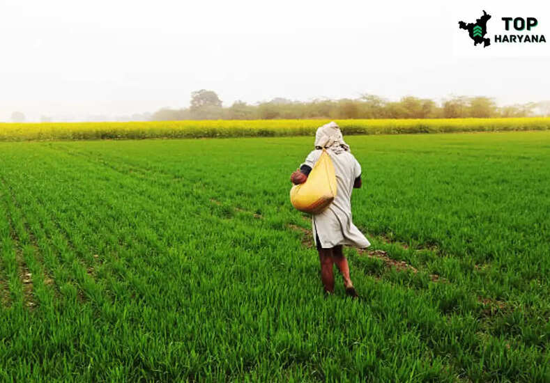 CM Kisan Yojana: किसानो को ओडिसा सरकार ने दिया बड़ा तोहफा, कैसे उठाए इसका लाभ आइए जानिए 
