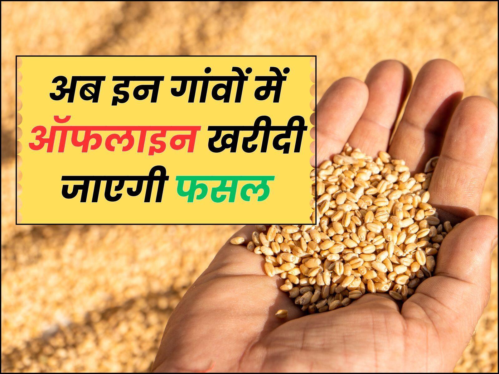 अब इन गांवों में ऑफलाइन खरीदी जाएगी फसल