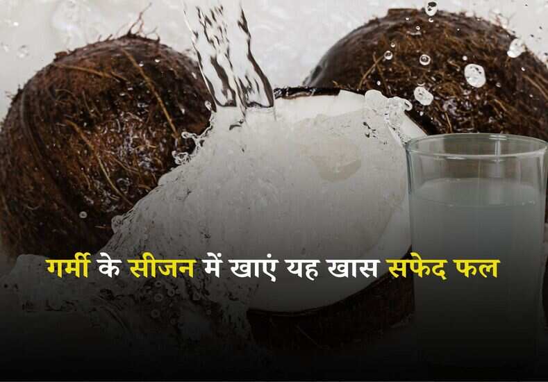 Coconut Benefits: गर्मी के सीजन में खाएं यह खास सफेद फल, बॉडी होगी मजबूत और सेहतमंद