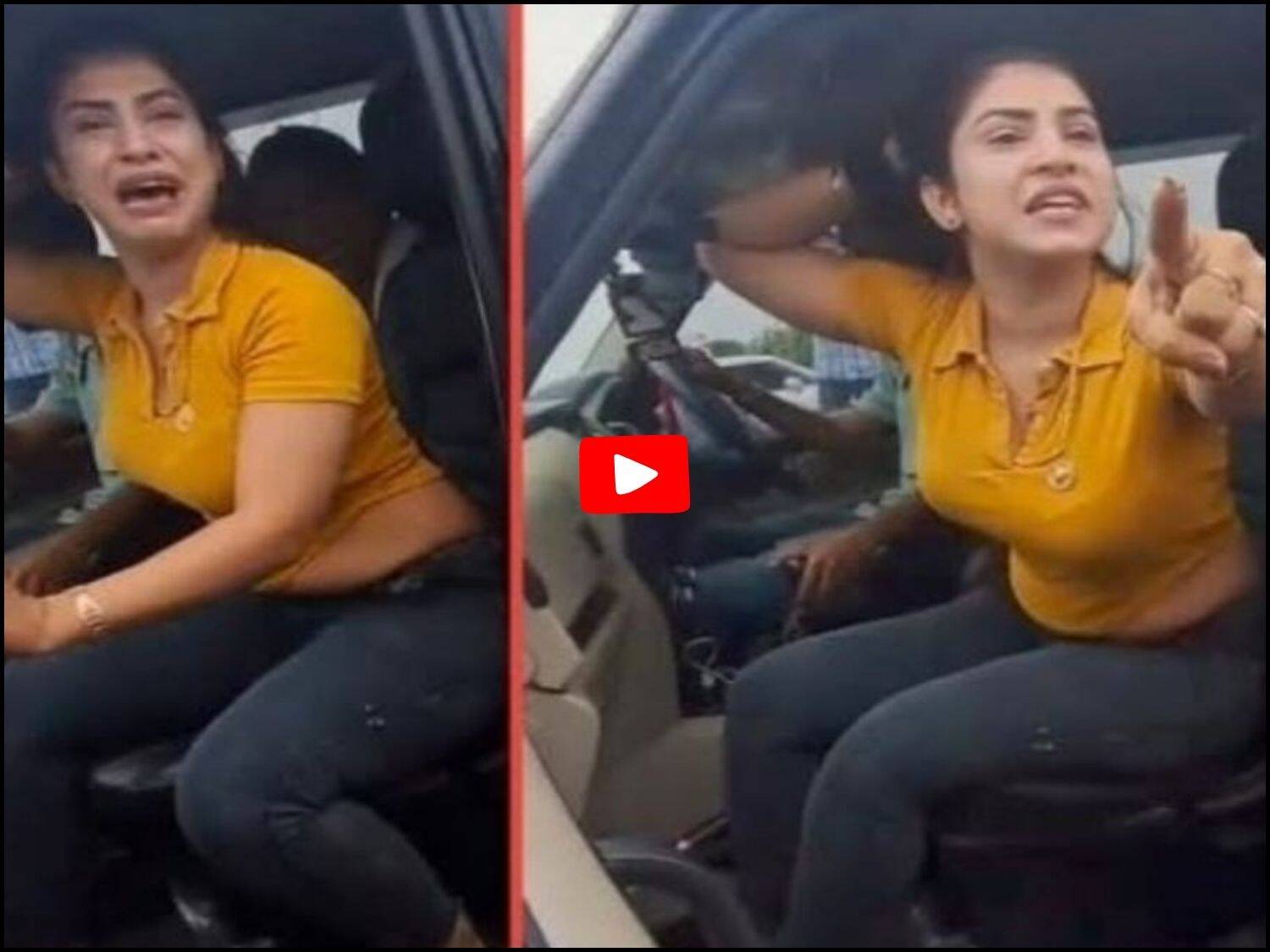 Bikaner ki Sherni Viral Video