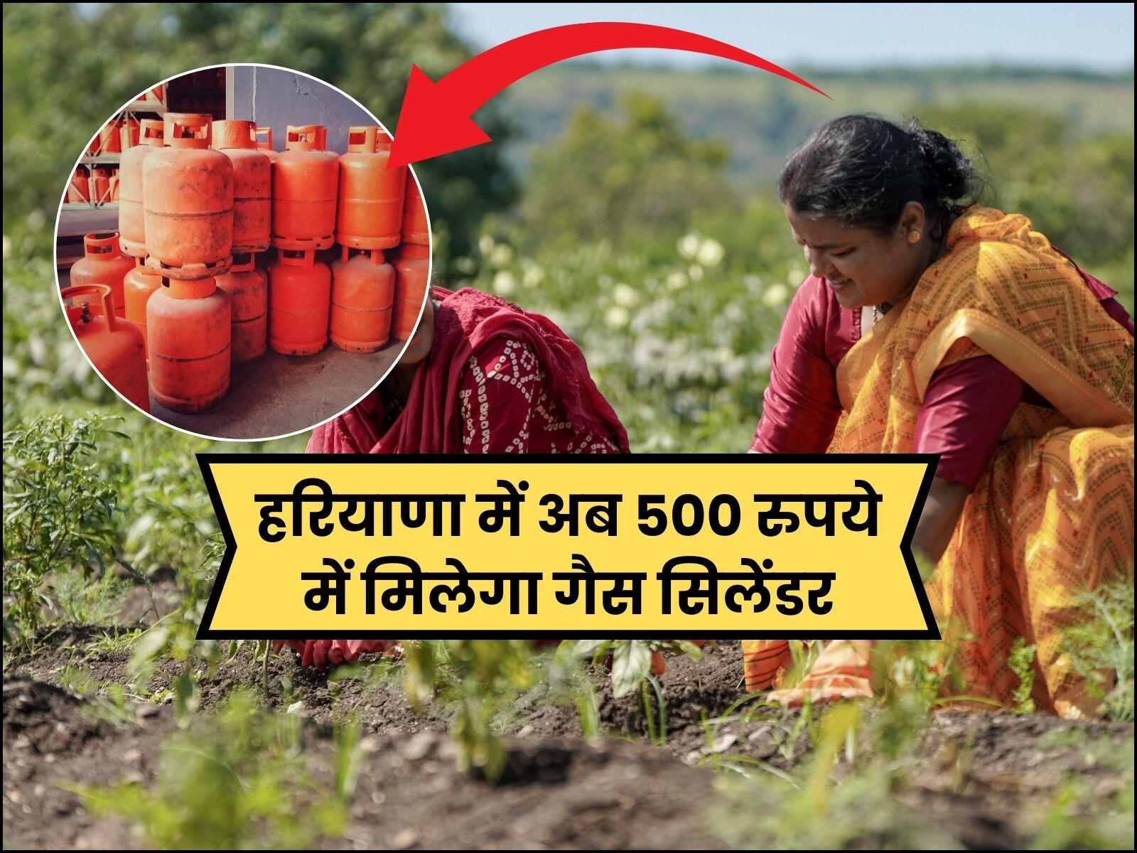 हरियाणा में अब 500 रुपये में मिलेगा गैस सिलेंडर