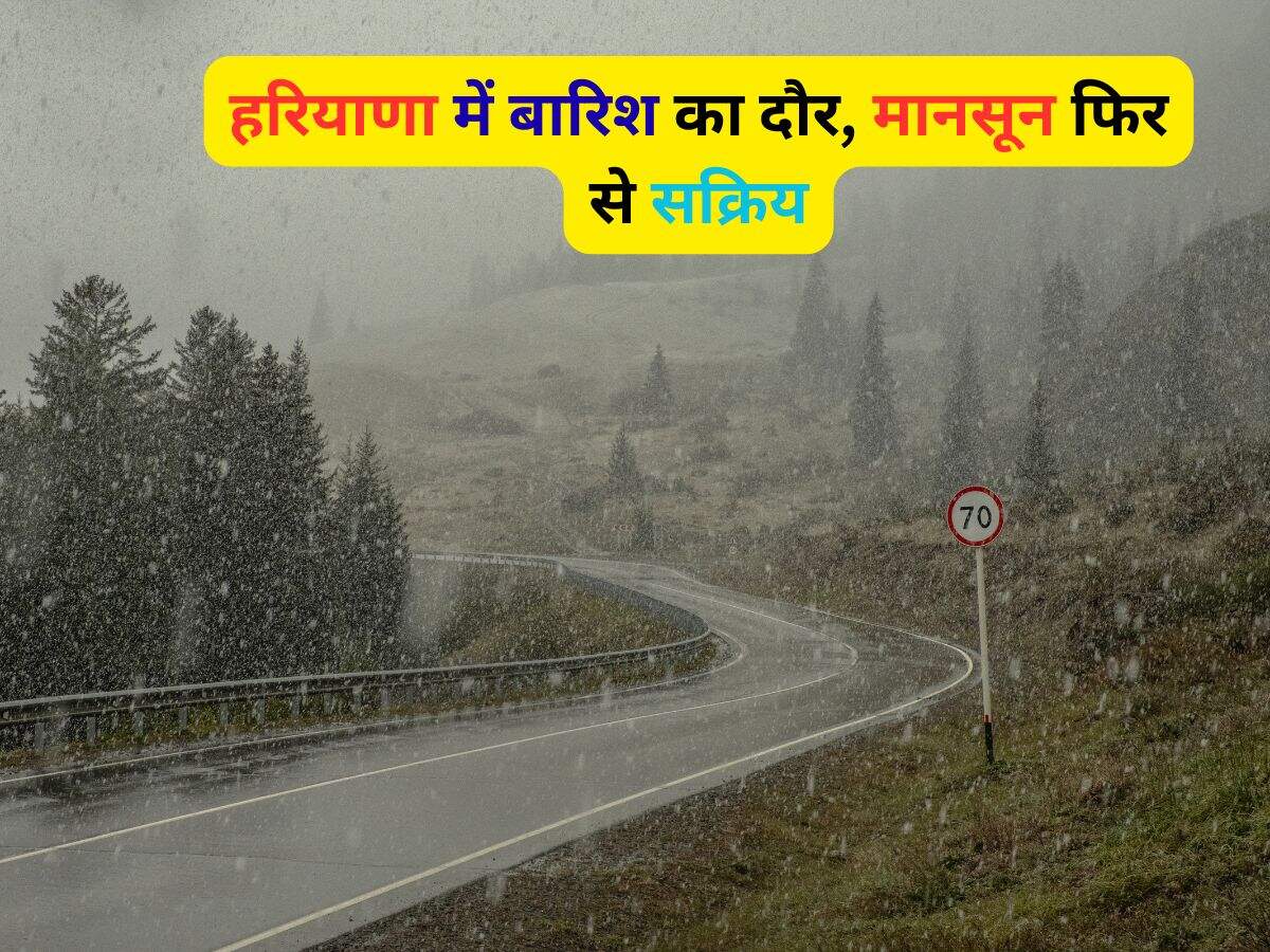 Haryana Weather News: हरियाणा में बारिश का दौर, मानसून फिर से सक्रिय