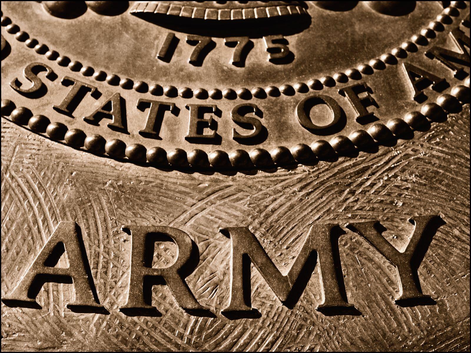 indian army