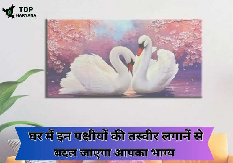 घर में इन पक्षीयों की तस्वीर लगानें से, बदल जाएगा आपका भाग्य