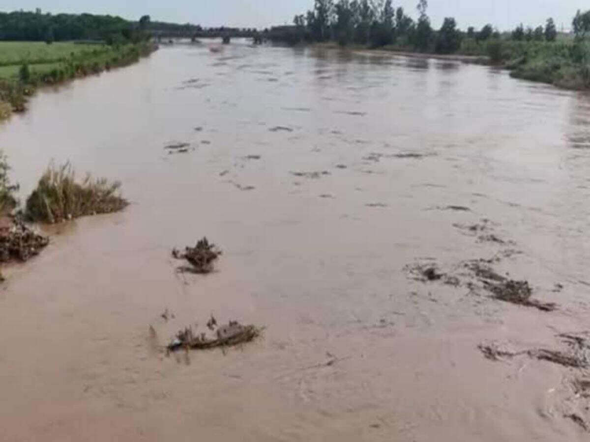 Haryana News: अंबाला की टांगरी नदी उफान पर, दो साल पुरानी बाढ़ की डरावनी यादें फिर हुईं ताजा