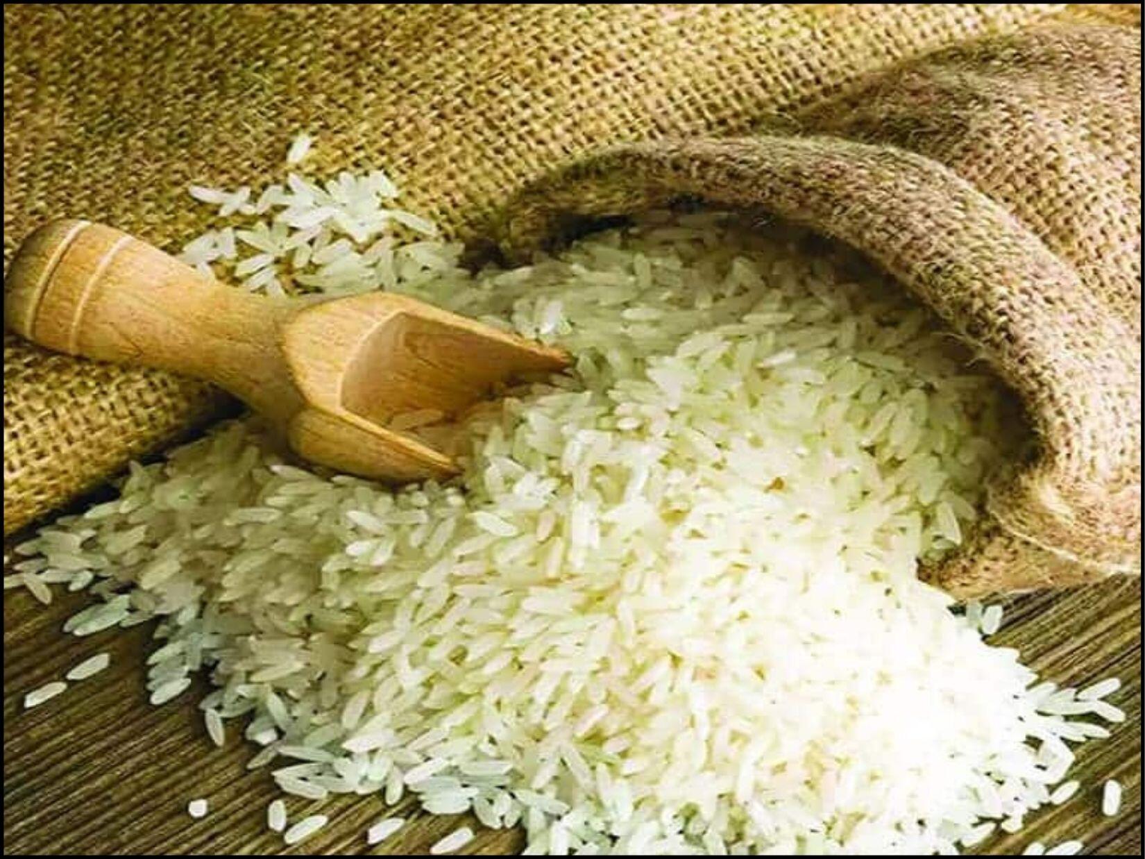 top haryana, haryana news, haryana news in hindi, trending news, trending news in hindi haryana, haryana ki taja khabar, top haryana news,