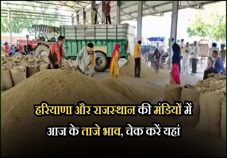 हरियाणा और राजस्थान की मंडियों में आज के ताजे भाव, चेक करें यहां