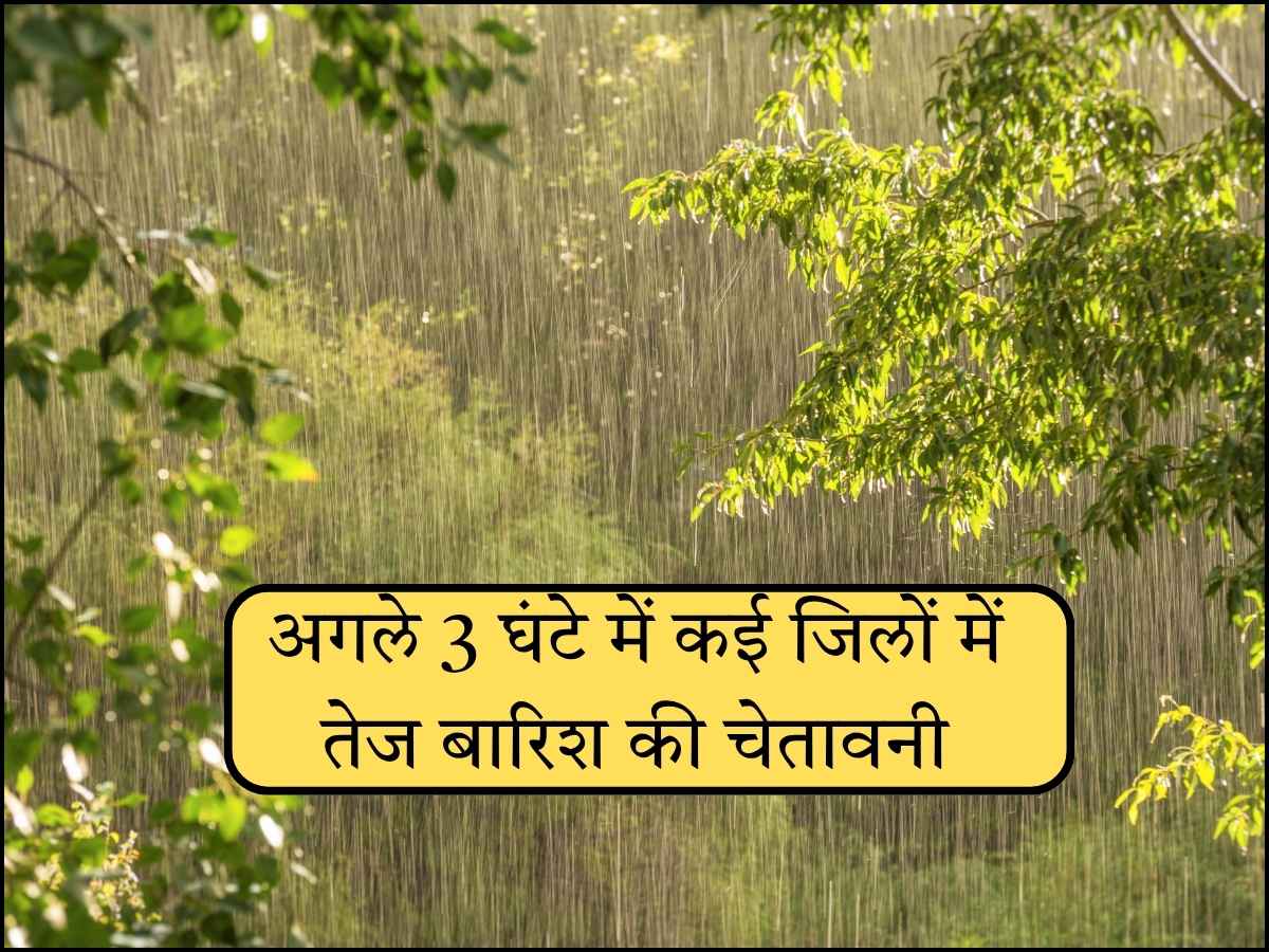 अगले 3 घंटे में कई जिलों में तेज बारिश की चेतावनी