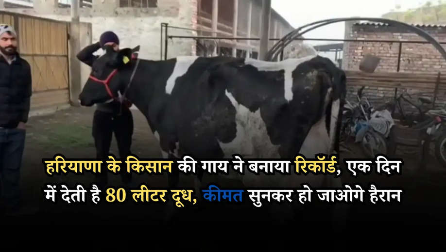 हरियाणा के किसान की गाय ने बनाया रिकॉर्ड, एक दिन में देती है 80 लीटर दूध, कीमत सुनकर हो जाओगे हैरान