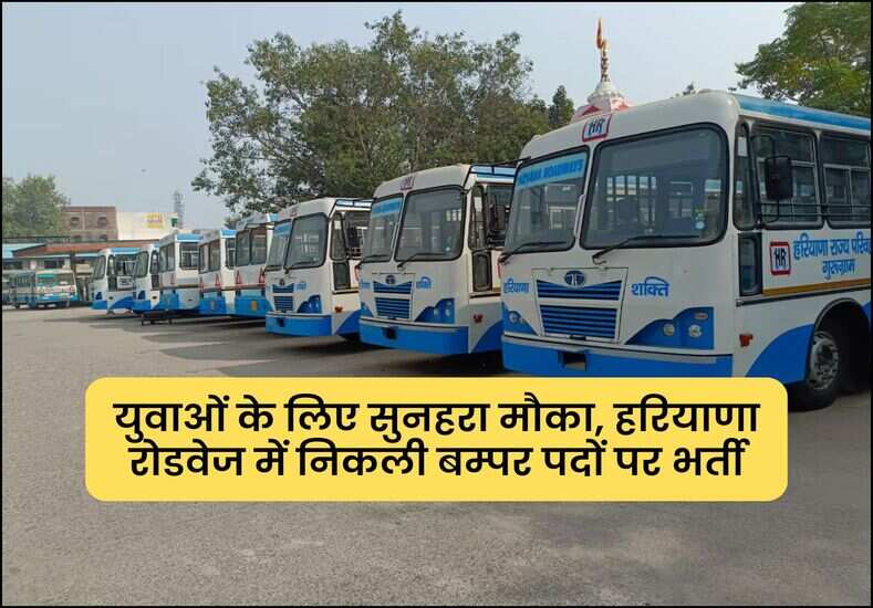 युवाओं के लिए सुनहरा मौका, हरियाणा रोडवेज में निकली बम्पर पदों पर भर्ती