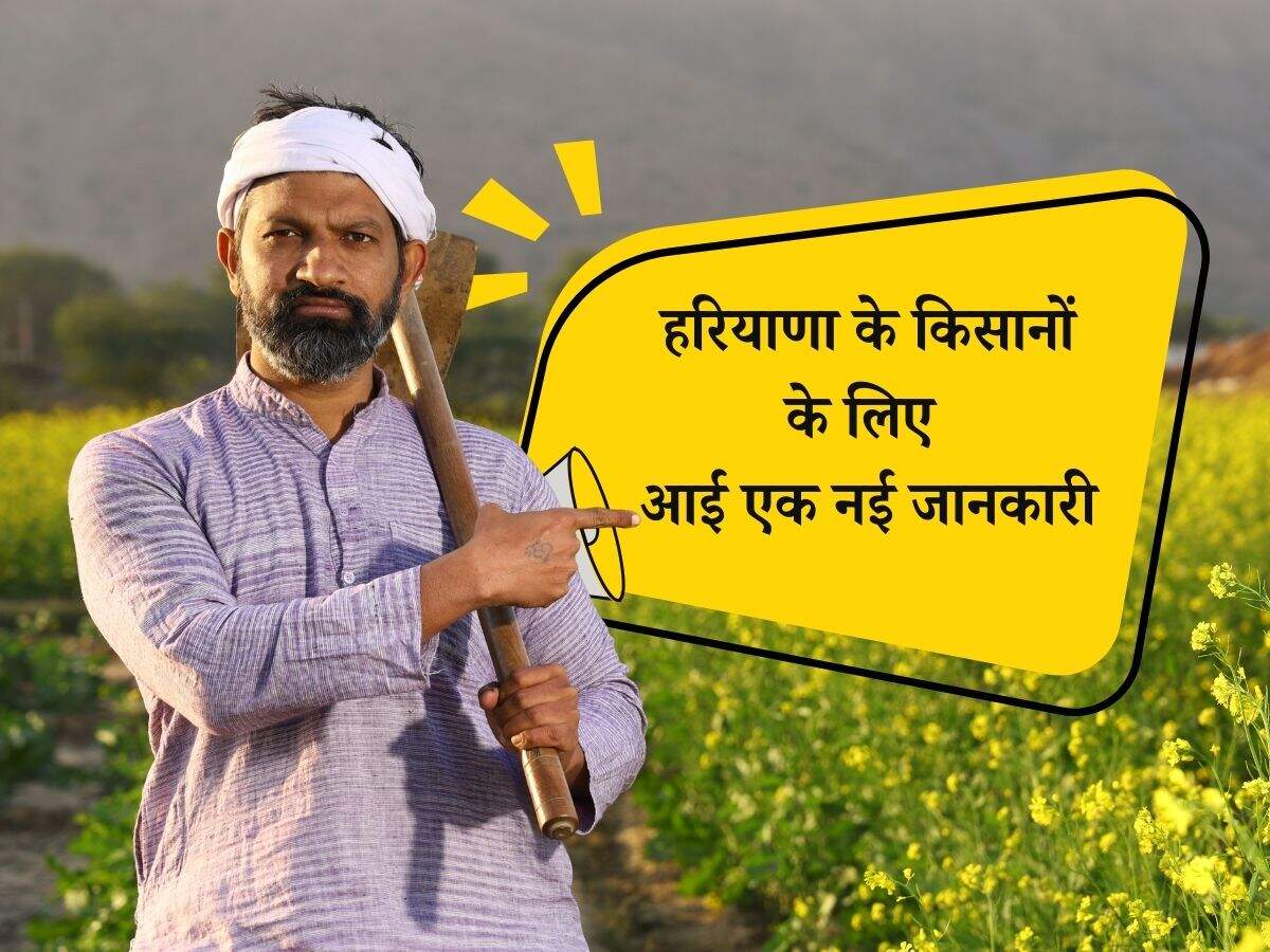Haryana News