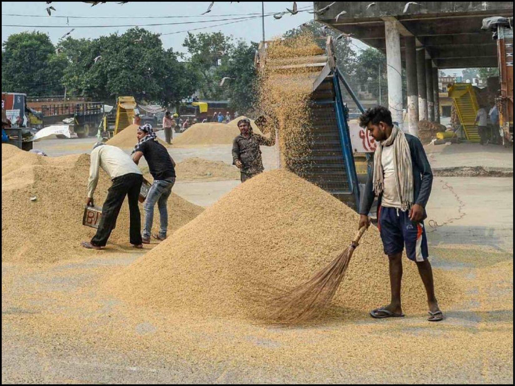 top haryana, haryana news, haryana news in hindi, trending news, trending news in hindi haryana, haryana ki taja khabar, top haryana news, 