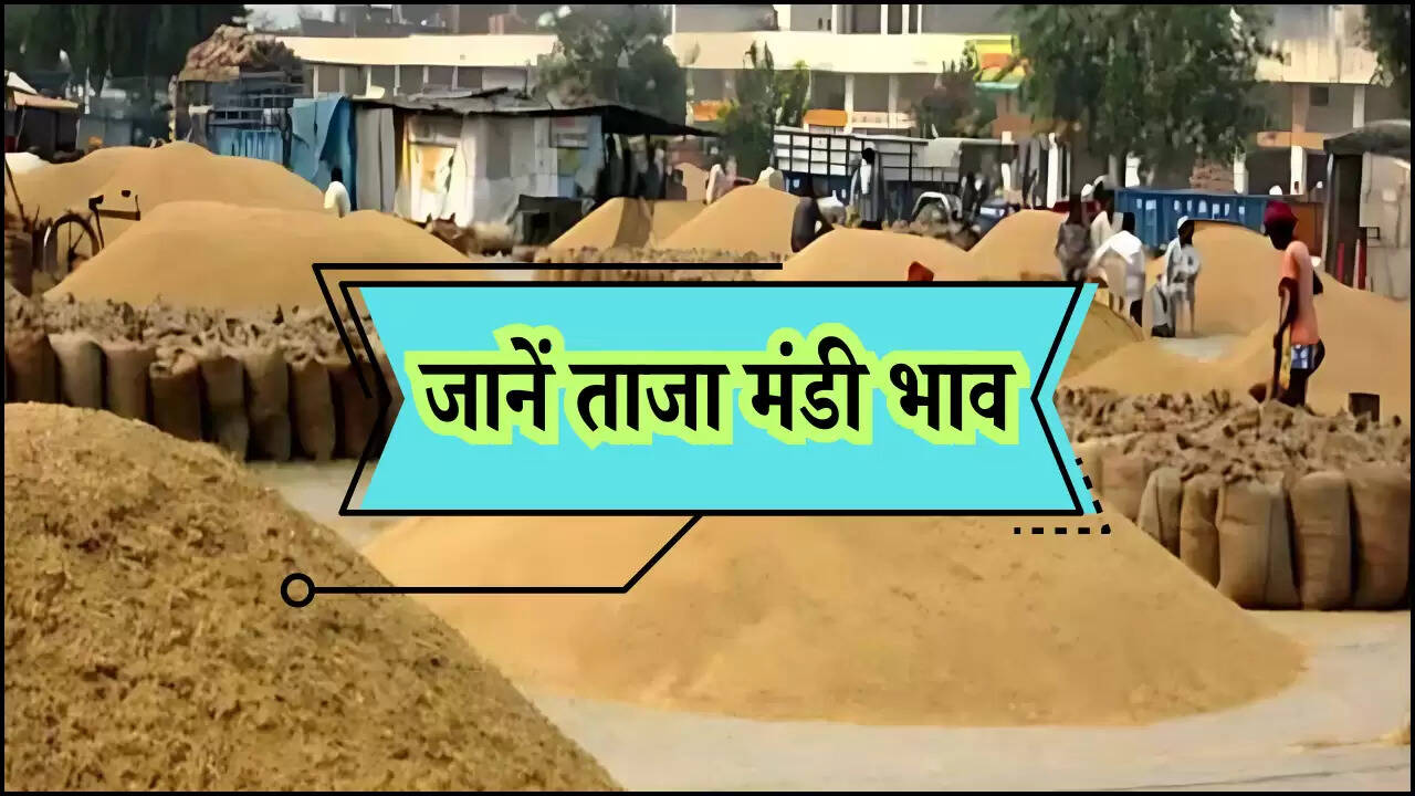 जानें ताजा मंडी भाव