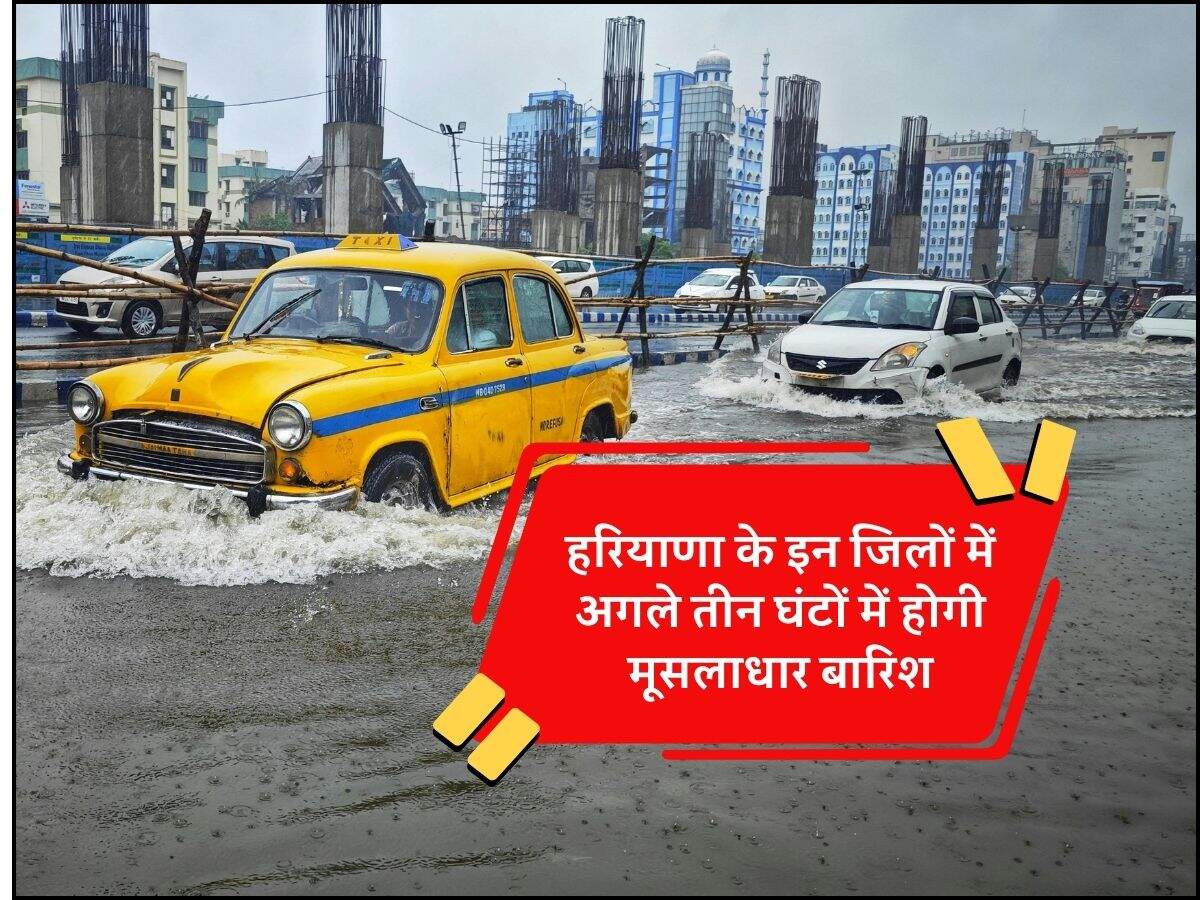 हरियाणा के इन जिलों में अगले तीन घंटों में होगी मूसलाधार बारिश