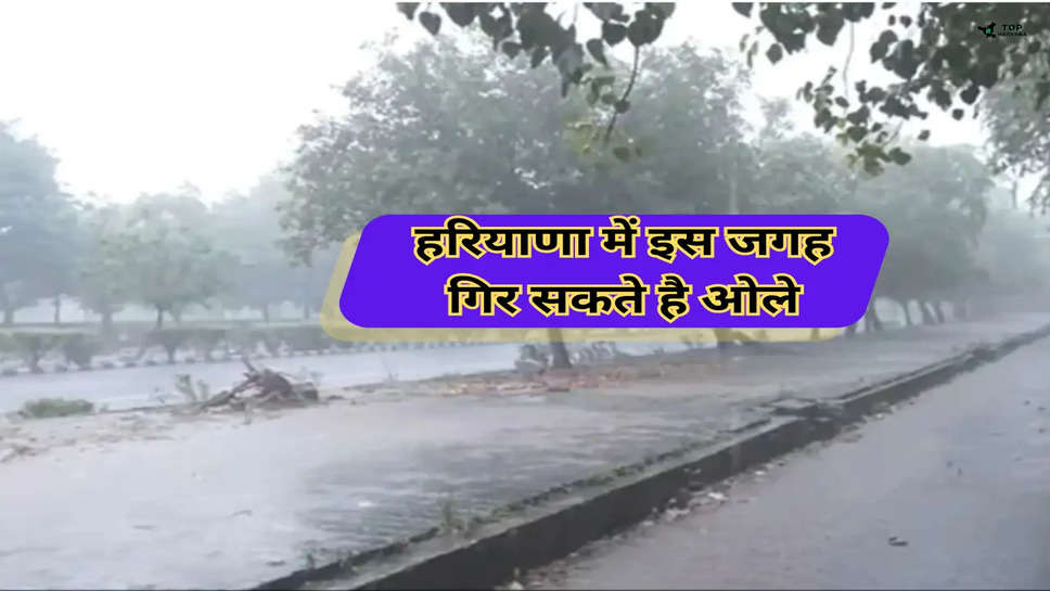 Haryana Weather: हरियाणा में इस जगह गिर सकते है ओले, मौसम विभाग ने दी चेतावनी 