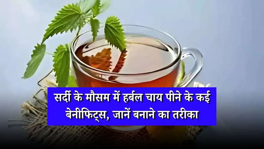 Health Tips: सर्दी के मौसम में हर्बल चाय पीने के कई बेनीफिट्स, जानें बनाने का तरीका