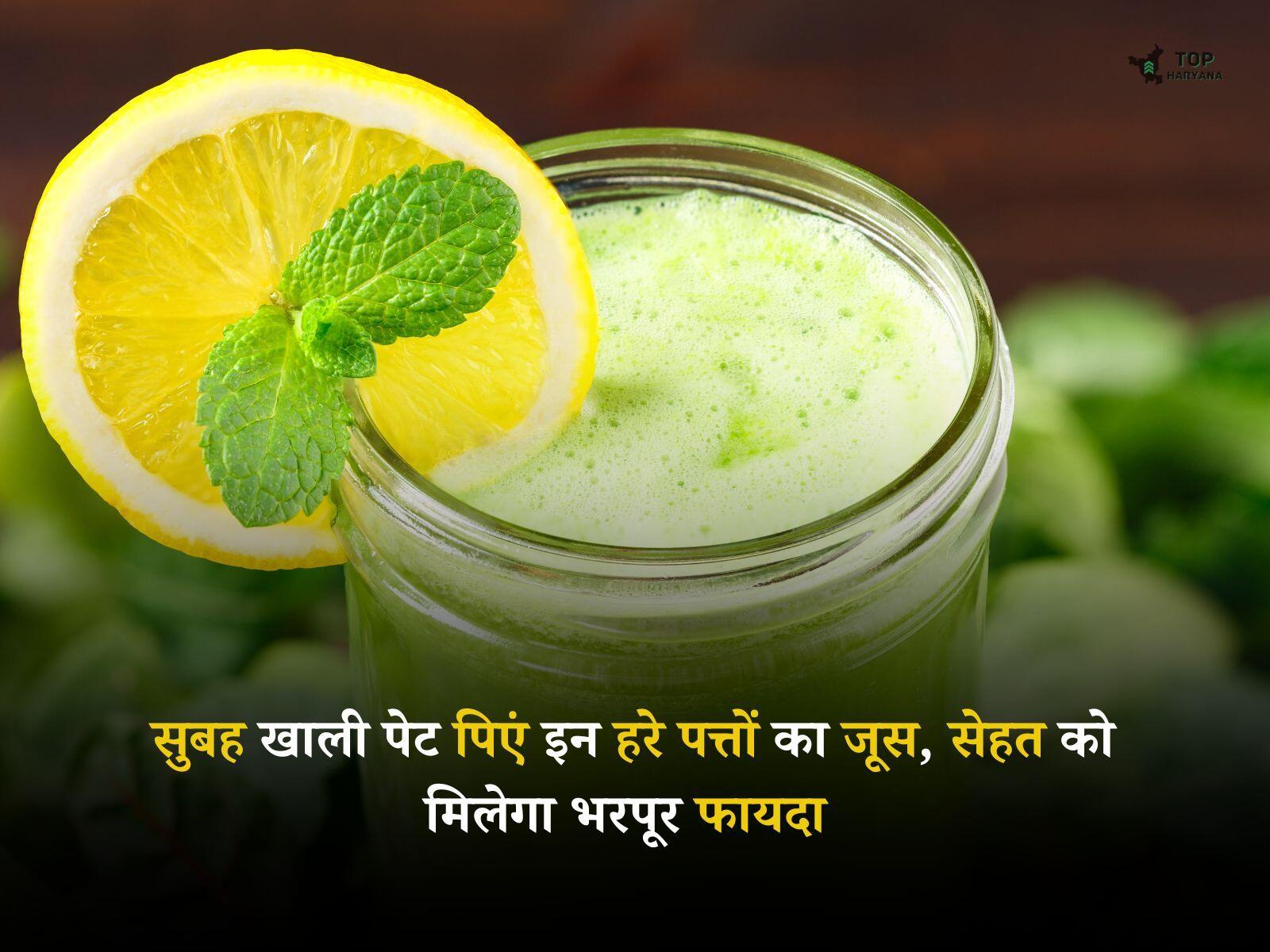 Healthy Juice: सुबह खाली पेट पिएं इन हरे पत्तों का जूस, दिमाग और सेहत को मिलेगा भरपूर फायदा
